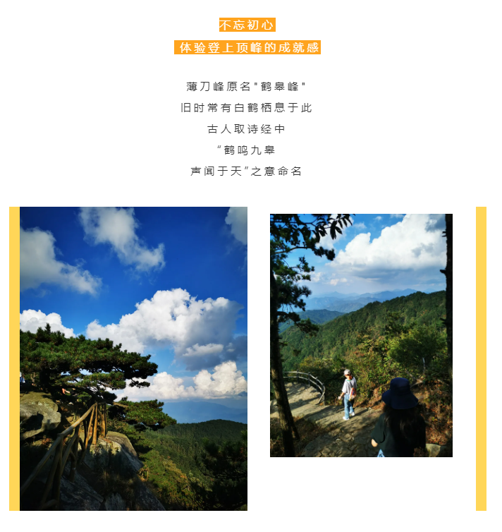 秋天了，來一場成年人的秋游吧(圖2)