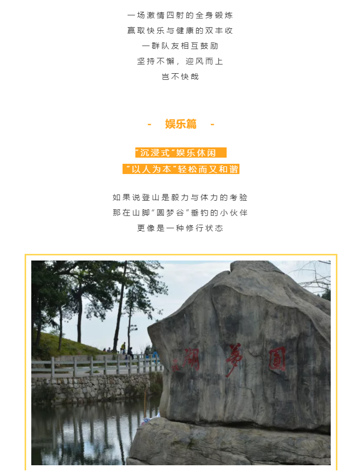 秋天了，來一場成年人的秋游吧(圖4)